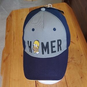 Homer Simpson Navy and Gray Cap